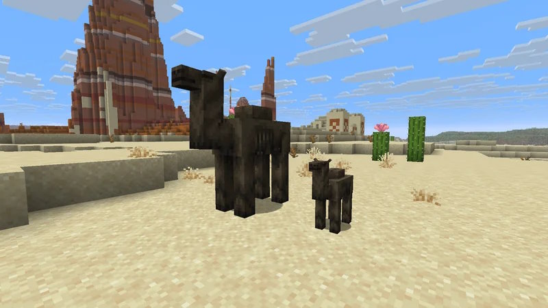 Camel Husk baby đã hoàn toàn biến mất