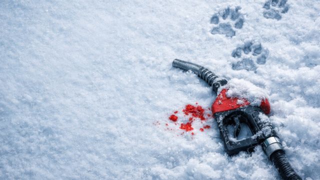 Arctic Shift: Fuel Station là game mô phỏng kinh doanh trạm xăng ở Bắc Cực khắc nghiệt