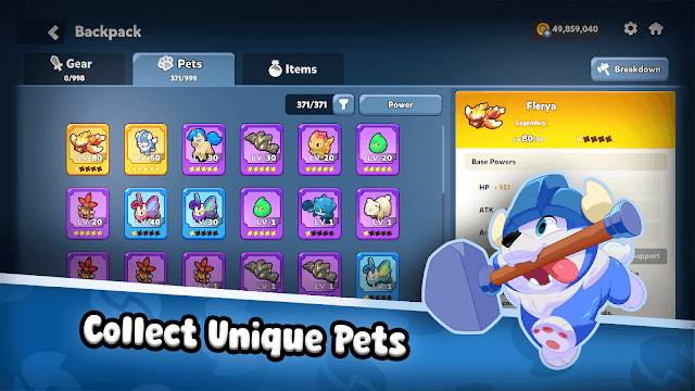 Thu thập những con pet độc đáo