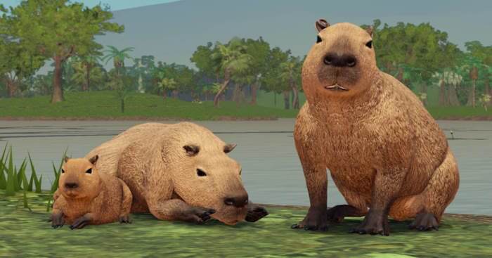 Bạn hóa thân thành các loài thú hoang và trải nghiệm cuộc sống trong rừng nhiệt đới trong game Jungle Life