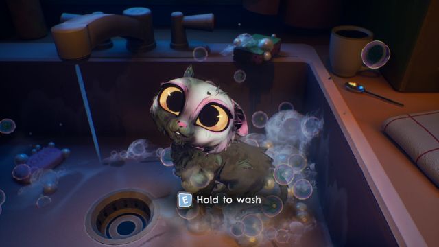 Chăm sóc những chú mèo con yếu đuối, đáng thương bằng cách tắm rửa, cho ăn hoặc chữa bệnh