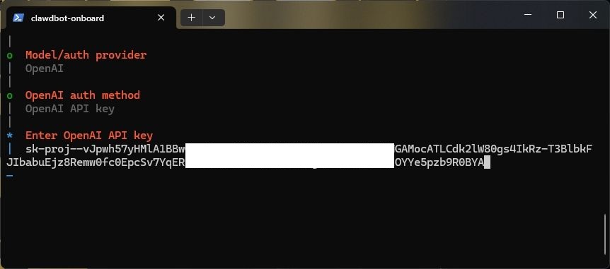 paste openai api key to run clawdbot