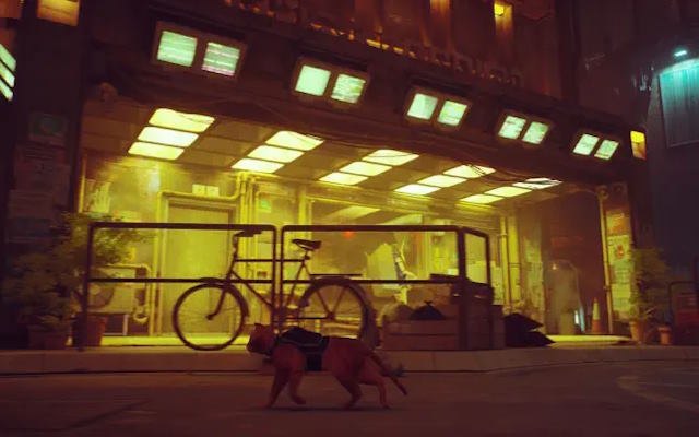 Trải nghiệm thế giới qua đôi mắt của một chú mèo