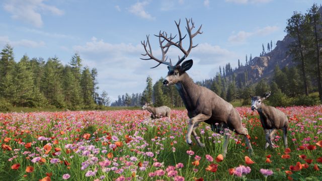 Way of the Hunter 2 sở hữu đồ họa đẹp mắt cùng nhiều cơ chế, công nghệ mới mẻ