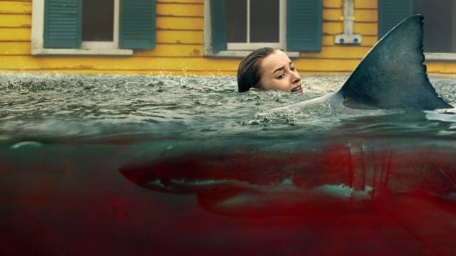 Ngôi sao đang lên Phoebe Dynevor đảm nhận vai chính trong phim Thrash