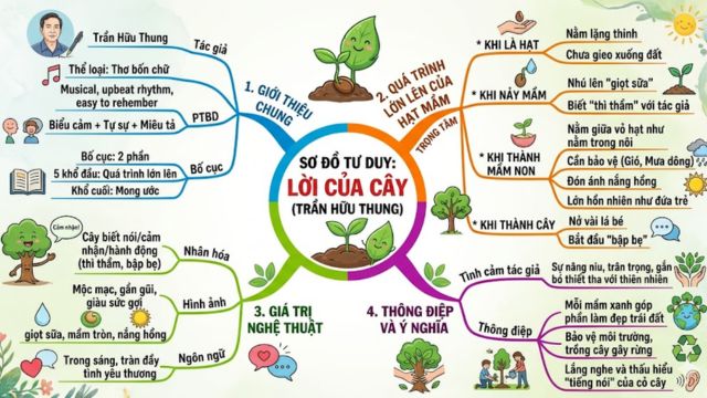 Hình ảnh sơ đồ tư duy đã được tạo