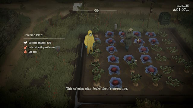 Dọn dẹp, kiểm soát sâu bệnh và cải thiện đất trồng