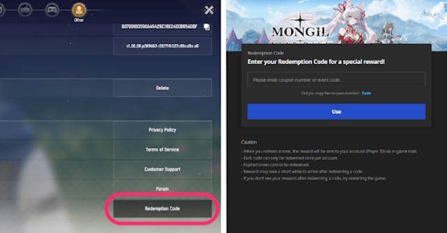 Hướng dẫn nhập code MONGIL: STAR DIVE