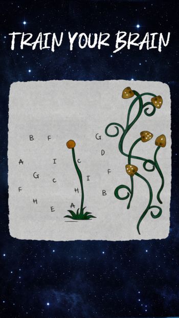 Nghệ thuật vẽ tay độc đáo