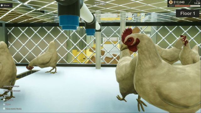 Chăn nuôi gà, bò, cừu để lấy trứng, sữa và len