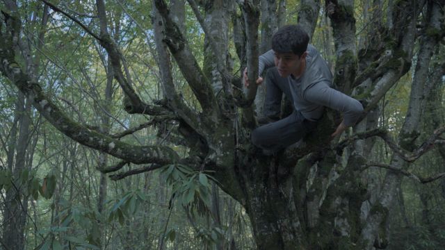 Câu chuyện phát triển dựa trên lựa chọn của người chơi