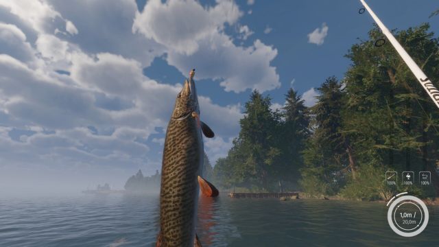 Câu cá vược, cá hồi... và nhiều loại cá khó được điều khiển bởi AI