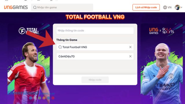 Nhập chính xác mã giftcode