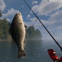 MLF: Pro Catch