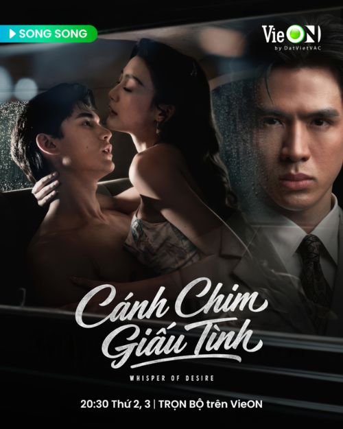 Poster phim Cánh chim giấu tình
