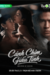 Cánh chim giấu tình
