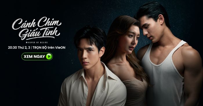 Cánh chim giấu tình