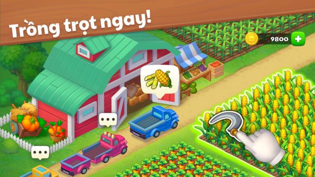 Trồng các loại cây như lúa mì, cà chua, ngô