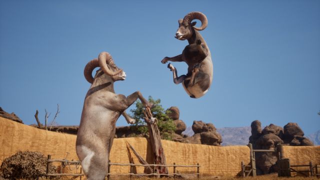 Ram Fights là game đối kháng đặt trong đấu trường động vật hoang dã vui nhộn