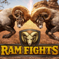Ram Fights