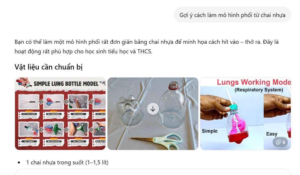 Cách làm mô hình phổi