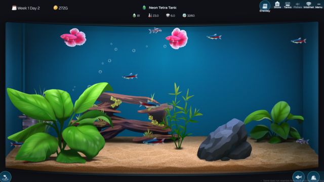 Nuôi cá, sưu tầm cá và kinh doanh trong game The Fish Corner