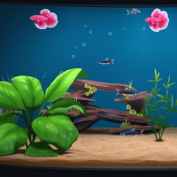 The Fish Corner