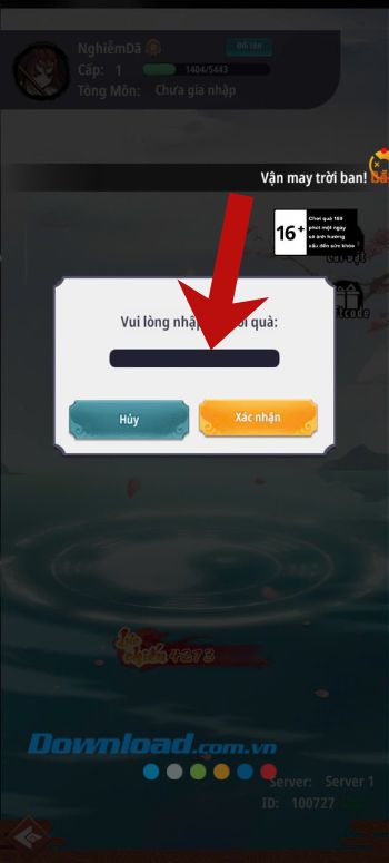 Nhập chính xác mã code
