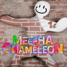 🖼️