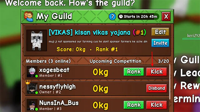 Tất cả tùy chỉnh Guild