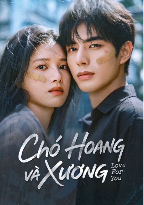 Poster phim Chó hoang và xương