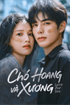 Chó hoang và xương