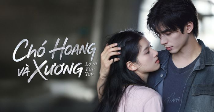 Chó hoang và xương