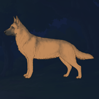 VirtualCanines