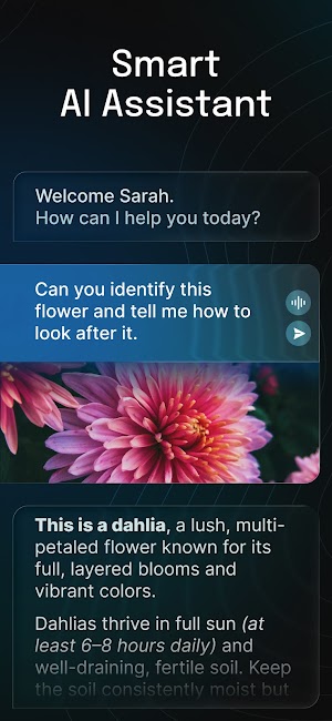 Nova là chatbot AI thông minh, đa năng