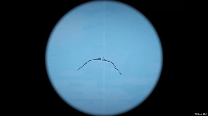 Giant Bird