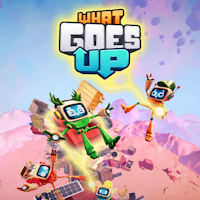 What Goes Up