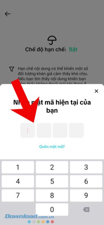 Nhập mật mã chế độ hạn chế hiện tại