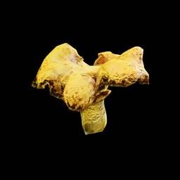 Cantharellus Cibarius Musrhoom