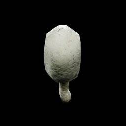 Coprinus Comatus Musrhoom