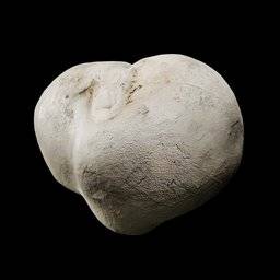 Lycoperdon Gigantea Musrhoom 