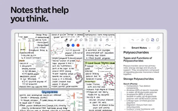 Notability giúp người dùng tư duy, học tập và làm việc hiệu quả hơn