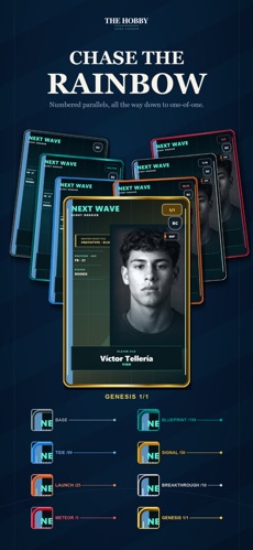 Mua bán thẻ trên thị trường hoàn toàn do các nhà sưu tầm trng game vận hành
