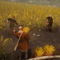 Medieval Farm Simulator