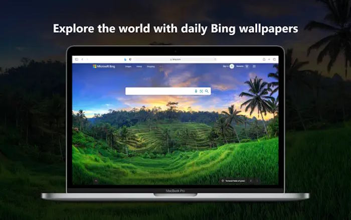 Sau khi cài đặt, bạn có thể truy cập trực tiếp công cụ tìm kiếm Bing trên máy Mac