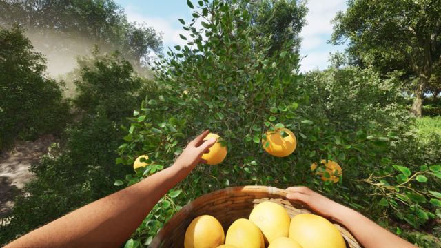 Tìm kiếm tài nguyên, giải đố và làm sáng tỏ hàng loạt bí mật trên đảo Sunny Island