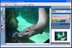 VCW VicMan Photo Editor