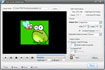 SWF to GIF Animation