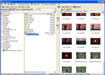 FileOrganiser